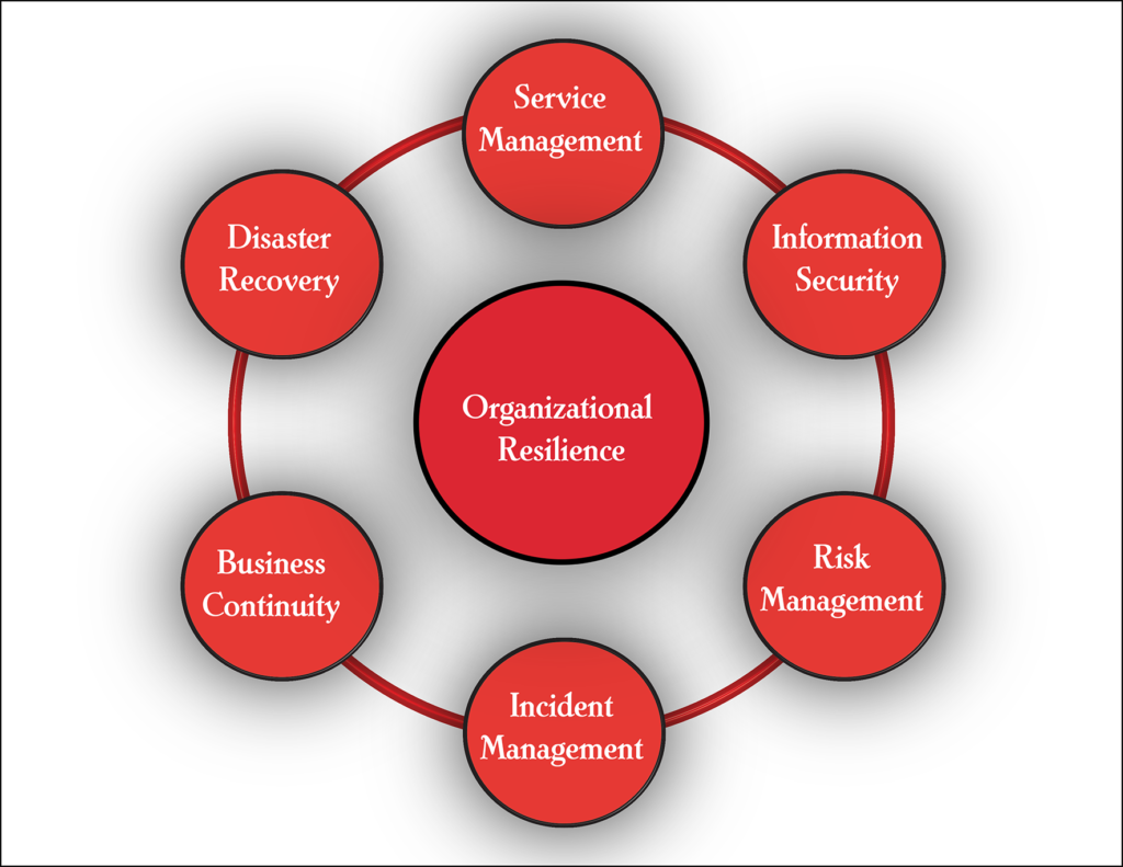 Reid Consulting, LLC – Enabling Organizational Resilience